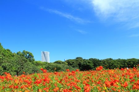 Tokyo☆庭園交流会（浜離宮恩賜庭園）
