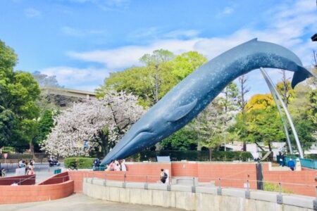 Tokyo☆春の上野でアートめぐり（上野恩賜公園 ）