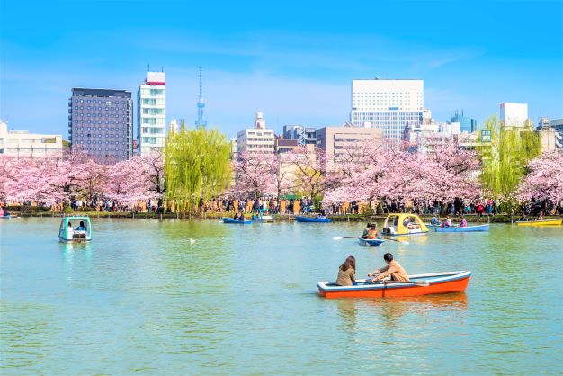 Tokyo☆春の上野でアートを楽しもう！（国立西洋美術館 ）