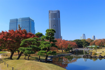 Tokyo☆秋の庭園交流会（浜離宮恩賜庭園）