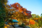 Tokyo☆秋の庭園交流会（浜離宮恩賜庭園）