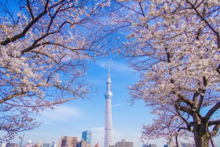 Tokyo☆春の浅草散策（隅田川～浅草寺コース）