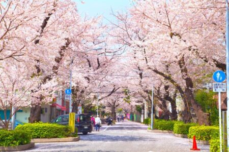 Tokyo☆春の下町さんぽ（谷根千）
