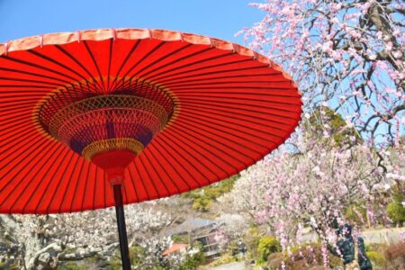 Kamakura☆春の鎌倉散策（北鎌倉）