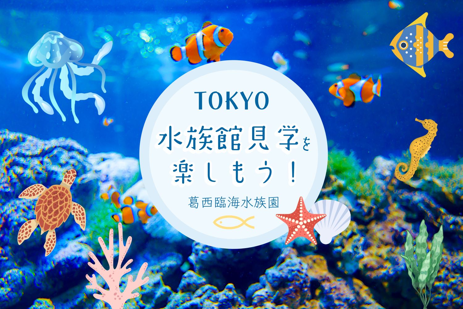 Tokyo☆水族館見学を楽しもう！（葛西臨海水族園）